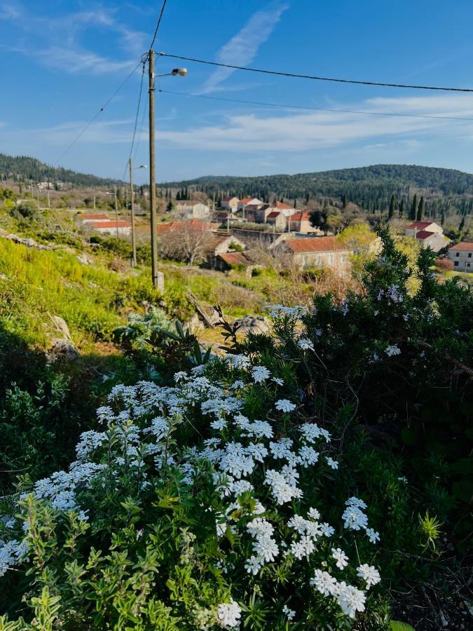 Country House Bakicevo Cilipi Bagian luar foto