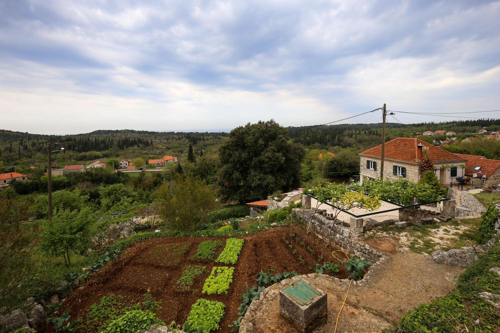 Country House Bakicevo Cilipi Bagian luar foto