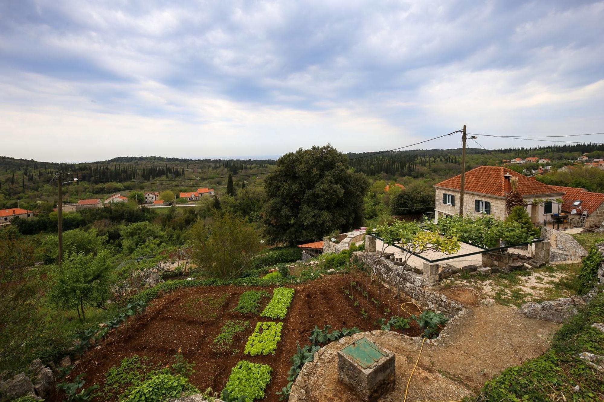 Country House Bakicevo Villa Cilipi Bagian luar foto